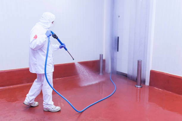  Louisville, OH Pressure Washing Pros